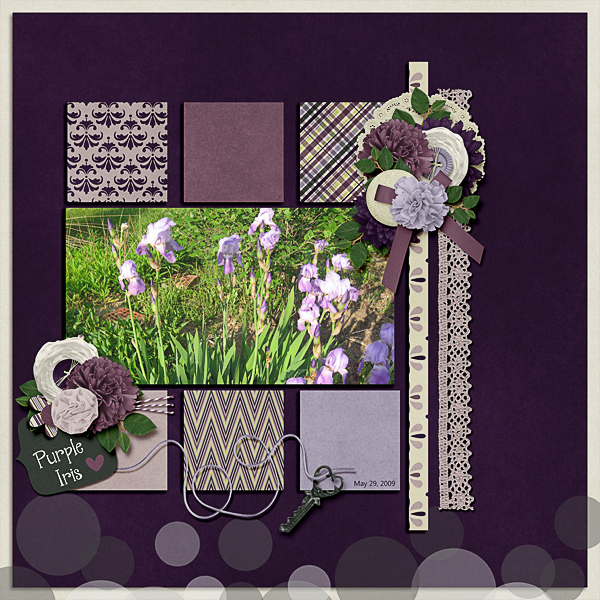 Purple Iris