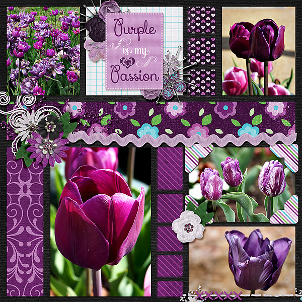 purple-is-my-passion
