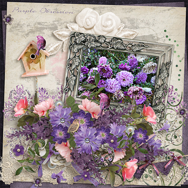 Purple Obsession
