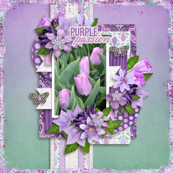 purple-passion-aimee-h-Tinc