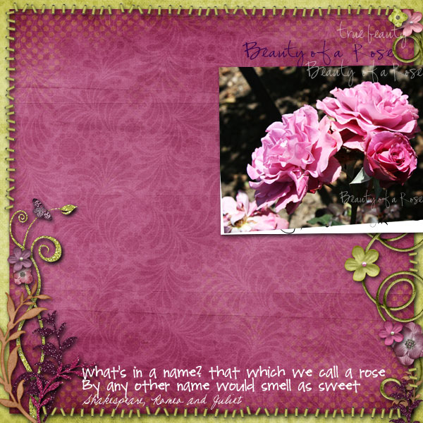 Purple Roses