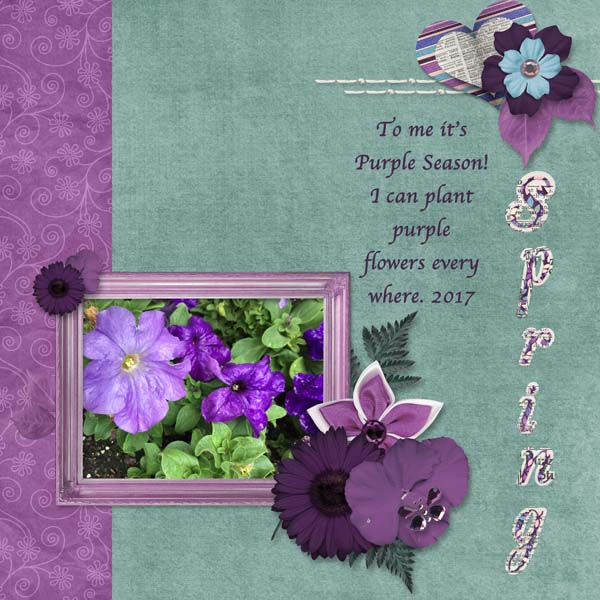 Purple Spring