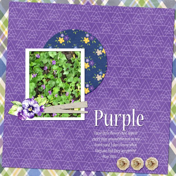 Purple