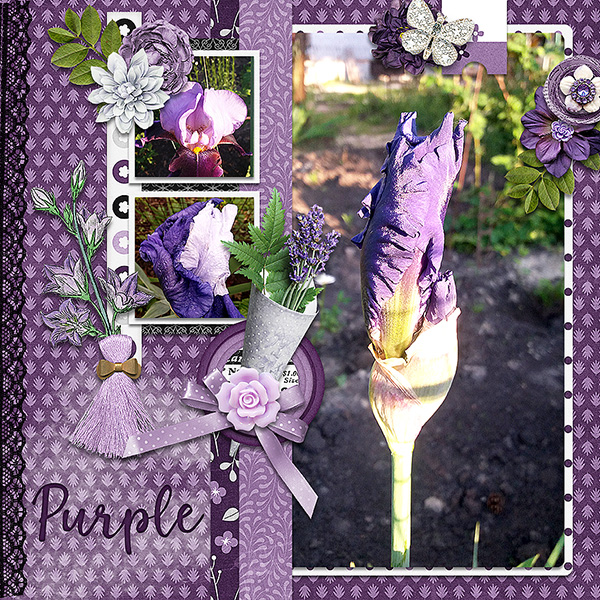 Purple