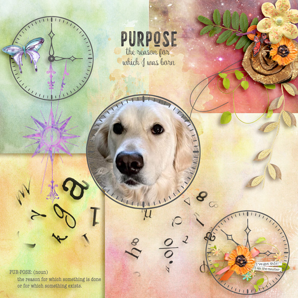 PURPOSE - USE IT ALL - APRIL 2023