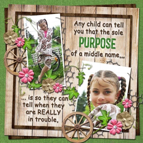 Purpose