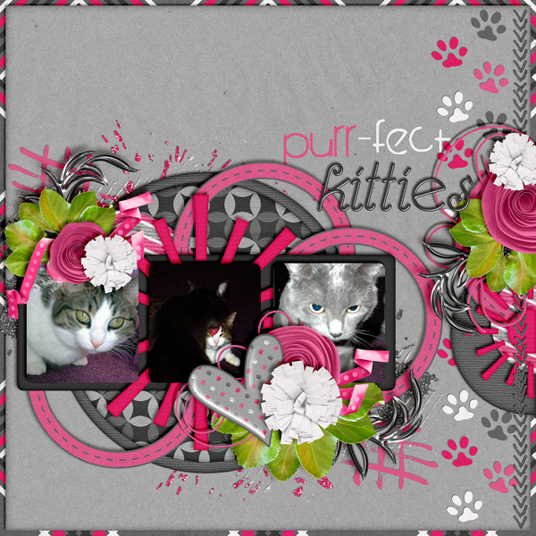 Purr-fect Kitties