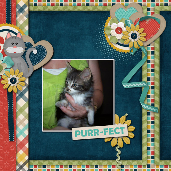 Purr-fect