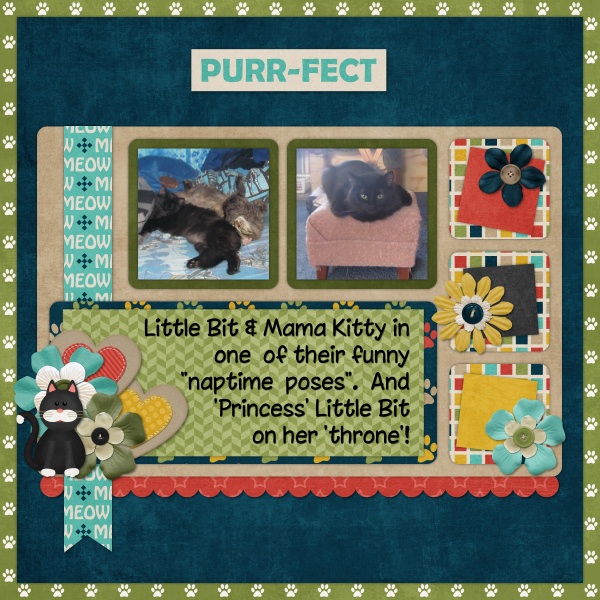 Purr-Fect