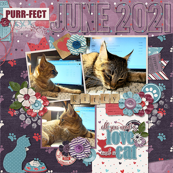 Purr-fect