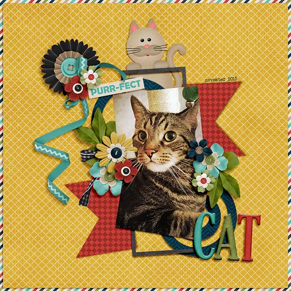 purrfect cat