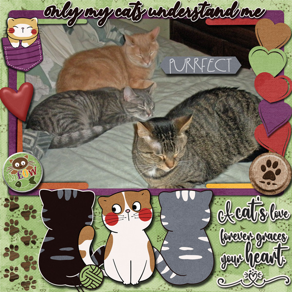 Purrfect Cats