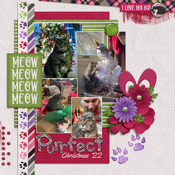 Purrfect Christmas