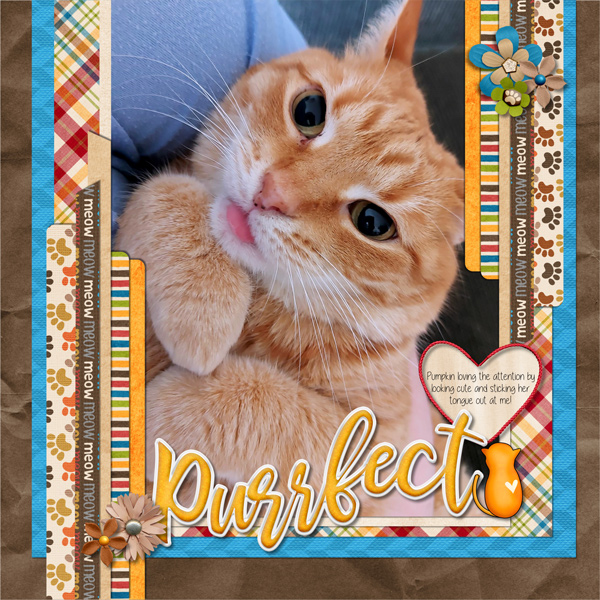 Purrfect Greeting