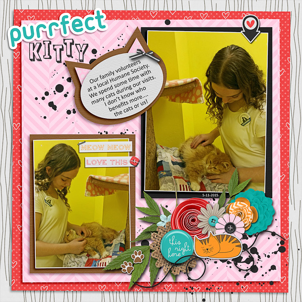 Purrfect Kitty