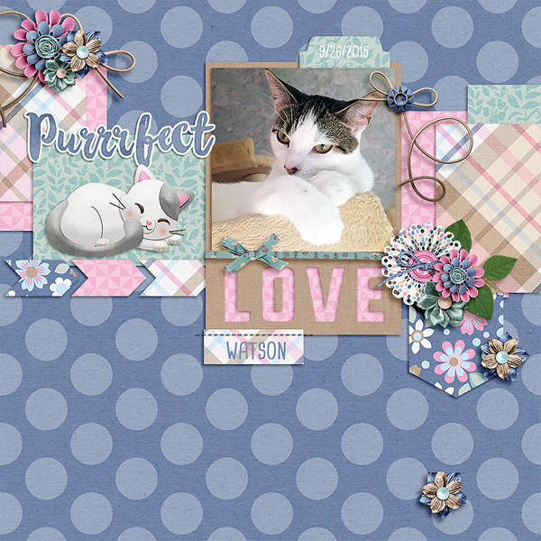 purrfect love