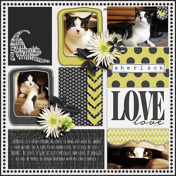 purrfect love