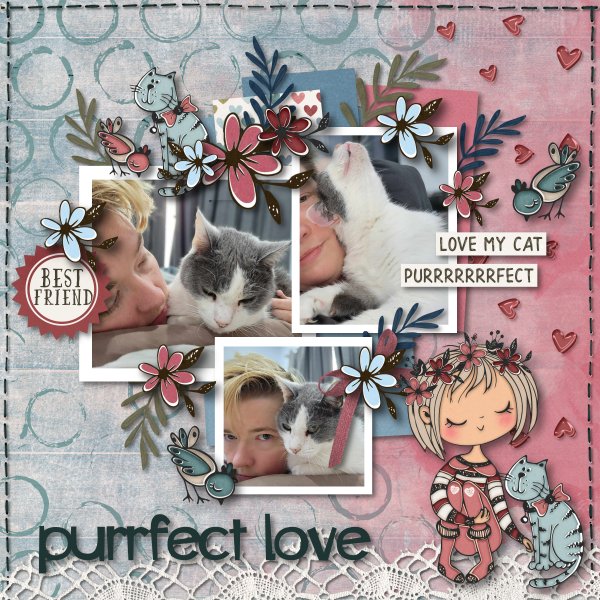 purrfect love