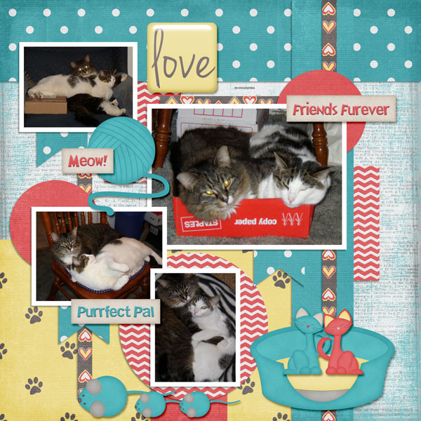 Purrfect Pals