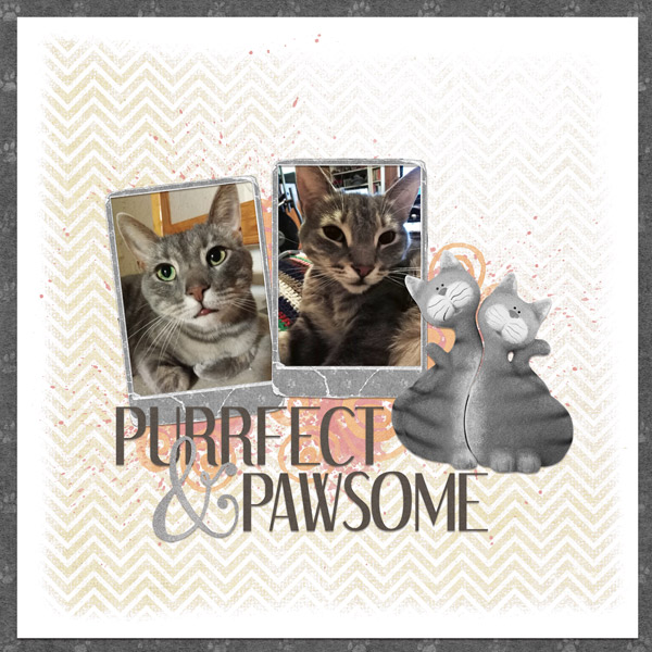 Purrfect + Pawsome