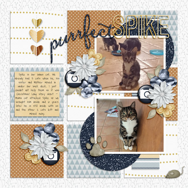 Purrfect Spike