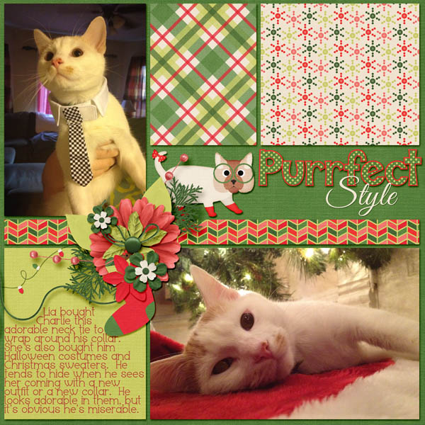 Purrfect Style