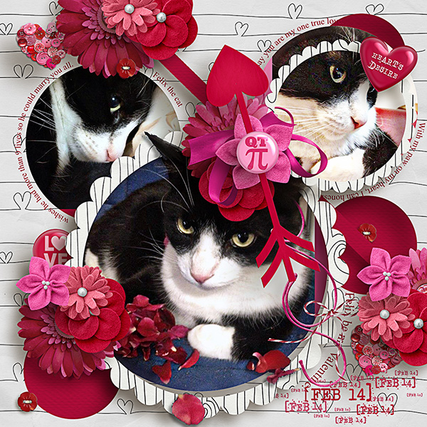 Purrfect Valentine
