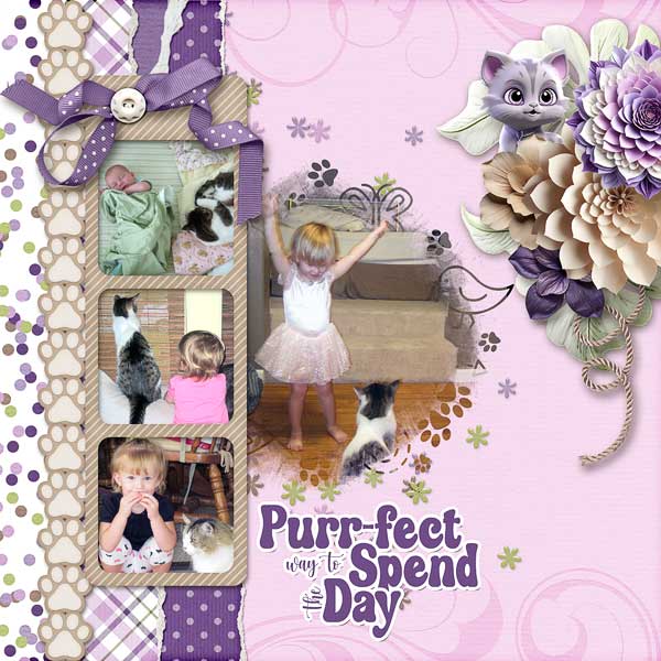 Purrfect Way To Spend The Day