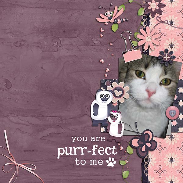 purrfect