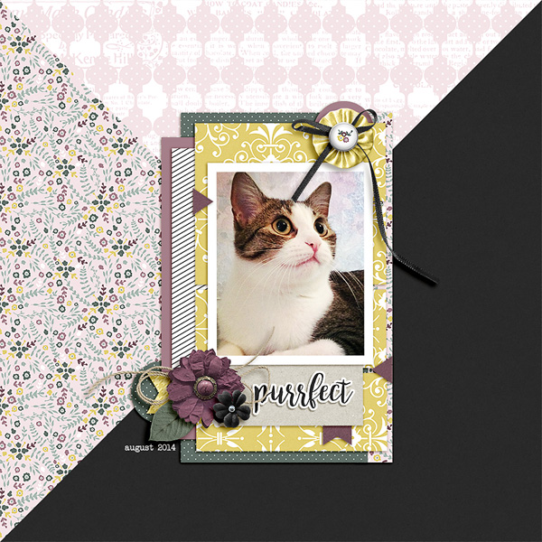 purrfect