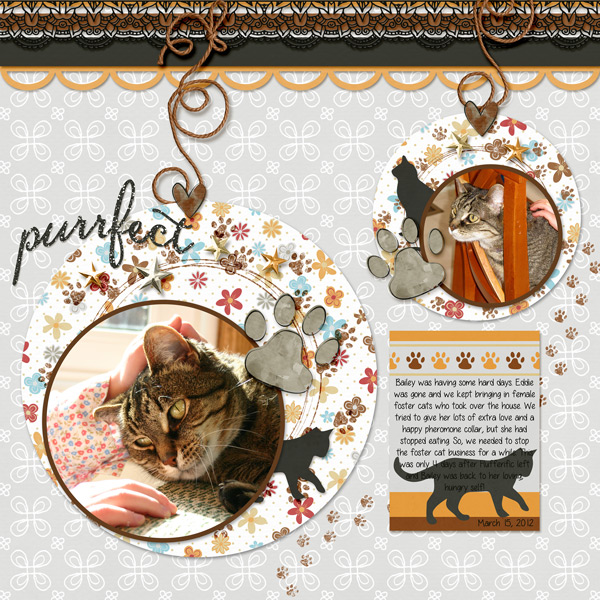 Purrfect