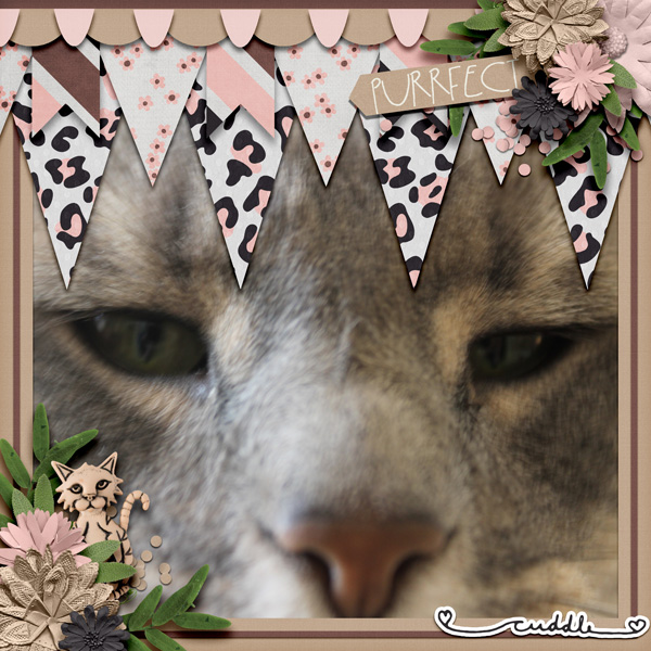 Purrfect
