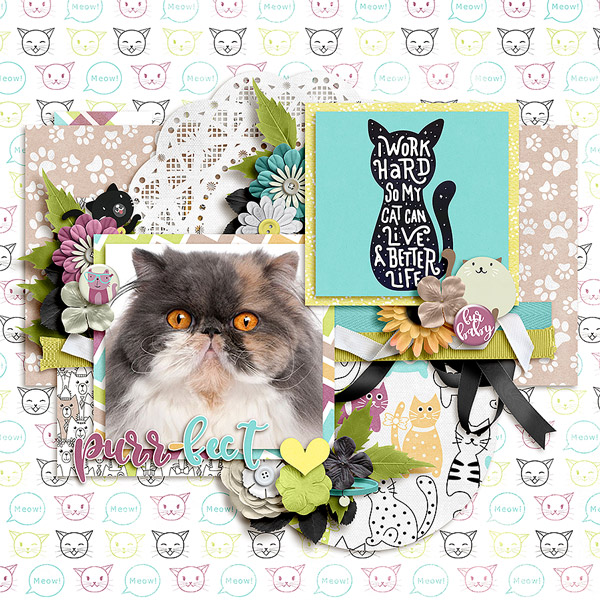 purrfect2