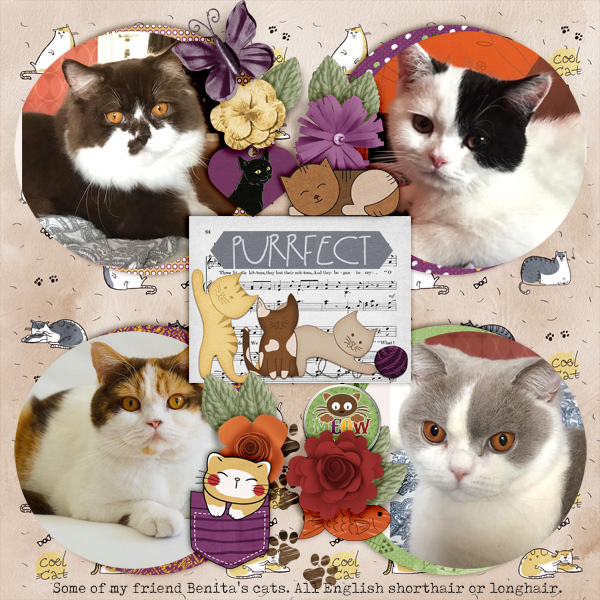 Purrfect3