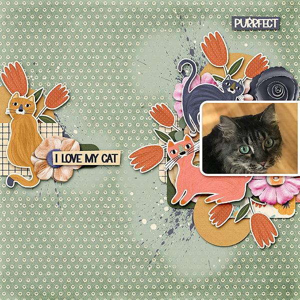 Purrfect_Gallery_Size