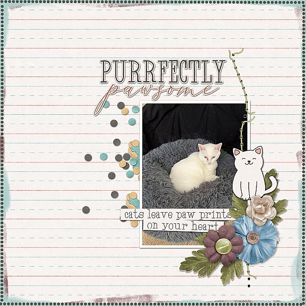 Purrfectly Pawesome