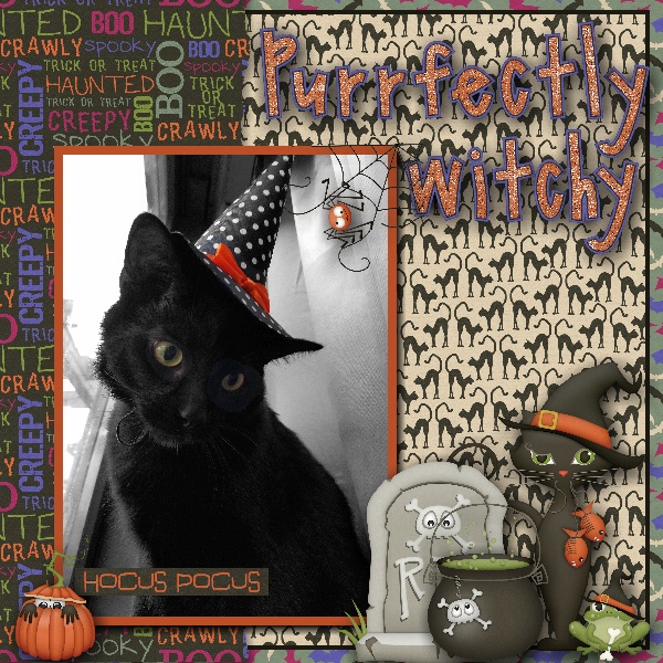 Purrfectly Witchy
