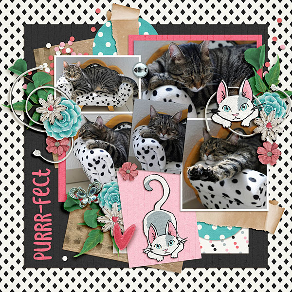 Purrr-fect