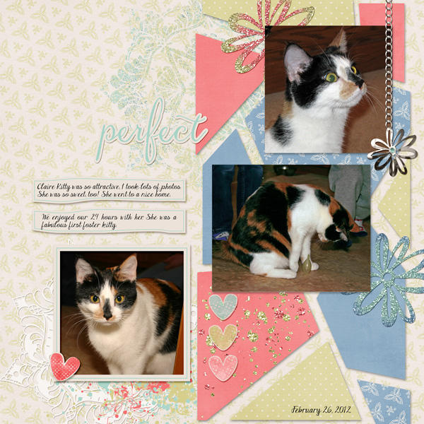 Purrrfect Kitty Claire