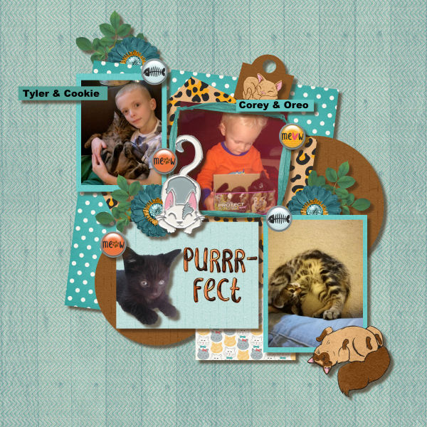 Purrrfect