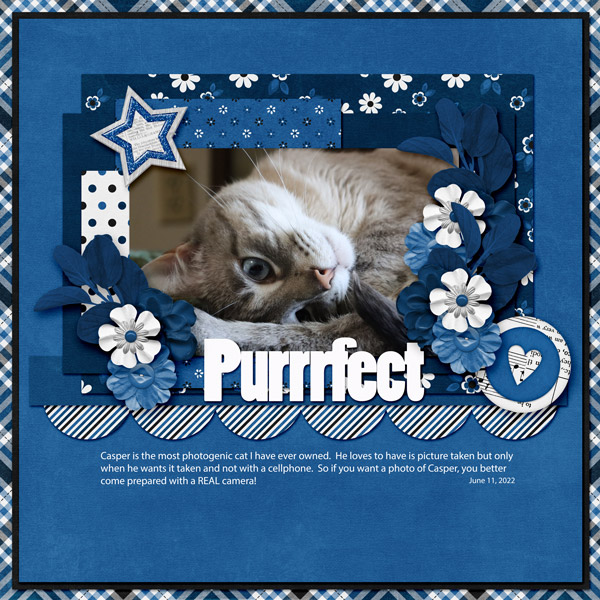 Purrrfect