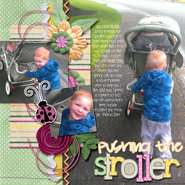 Pushing the Stroller