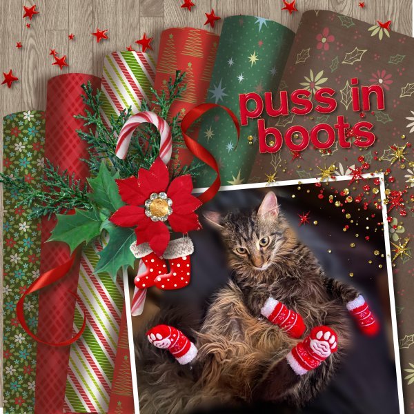 puss in boots
