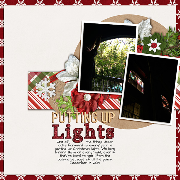 Putting Up Lights