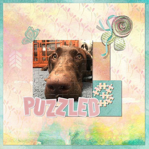 Puzzled4