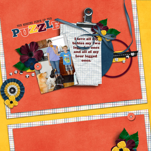 puzzled_altimasport