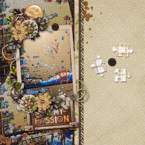 Puzzles Are My Passion