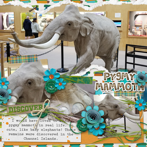 Pygmy Mammoth
