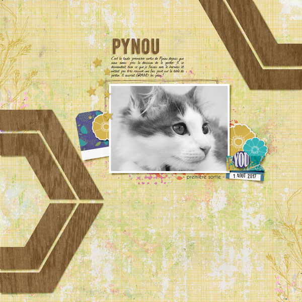 Pynou premiere sortie