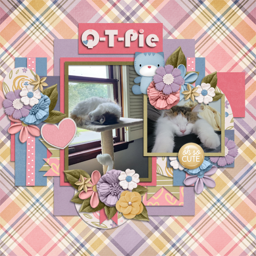 Q-T-Pie